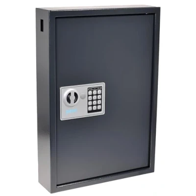 Imagen de Pavo 8033911 Llaves/Armario/Caja Fuerte, AES con Seguridad eléctrica, Ganchos Clave la Ranura Lateral, Gris Oscuro, Acero Inoxidable, 50 Keys