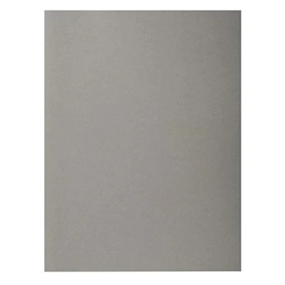 Imagen de Exacompta 420009E Lote de 100 Subcarpetas Forever® 180, Color Gris