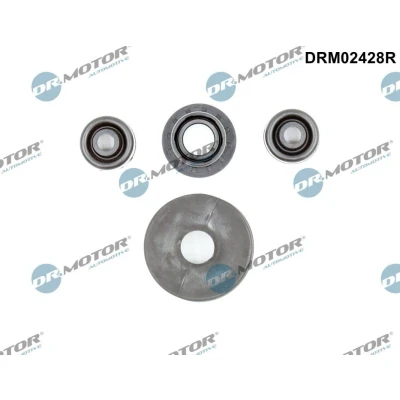Imagen de Juego de reparación, palanca cambios Dr.Motor Automotive DRM02428R