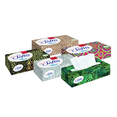 Imagen de Regina Softis Caja de pañuelos (4 capas, 10 unidades)