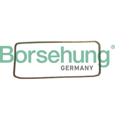 Imagen de Cadena de distribución Borsehung B1C029
