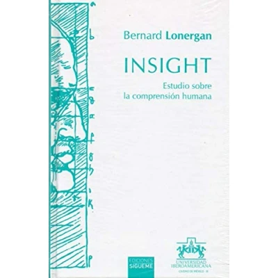 Imagen de Insight. Estudio Sobre La comprension Hu (HERMENEIA)