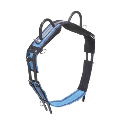 Imagen de Busse Lunging Girth Double