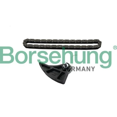 Imagen de Borsehung B19287 Juego de cadena distribución VOLKSWAGEN: Golf 5, Polo IV Hatchback, Touran I, AUDI: A3 Sportback, Hatchback