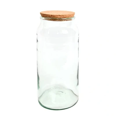 Imagen de esschert Maceta para Terrarium (41 cm)