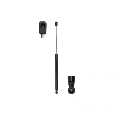Imagen de Resorte de gas, maletero/compartimento carga MAGNUM TECHNOLOGY MGS7009