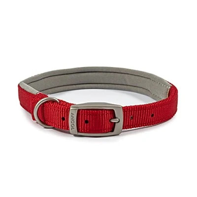 Imagen de Ancol Collar Tradicional de Nailon Acolchado