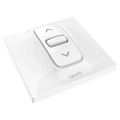 Imagen de somfy 1870881 Interruptor de posición, Color Blanco