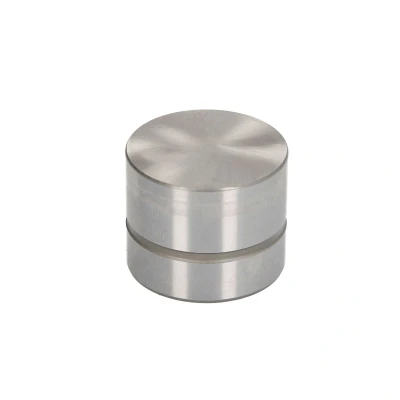 Imagen de INA 420 0074 10 Taqués Hidráulicos hidráulico RENAULT: LAGUNA 1 Grandtour
