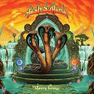 Imagen de Terra Firma [Vinilo]