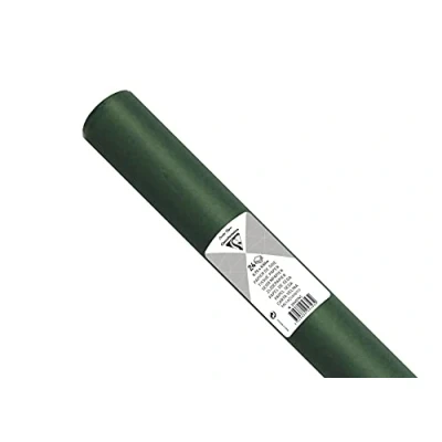 Imagen de Clairefontaine Maildor Rollo de papel seda (18 g, 50 x 75 cm, 24 hojas), color verde