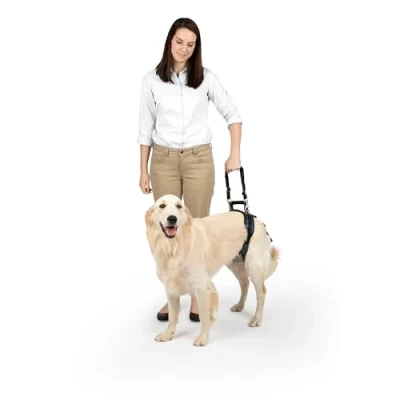 Imagen de PetSafe CareLift Arnés de Elevación Trasera para Perros, Soporte con Asa y Correa, Perros Discapacitados o Ancianos, Material Transpirable Cómodo, Fácil Ajuste, Perro Grande