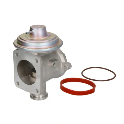 Imagen de MAGNETI MARELLI 571822112093 Válvula EGR BMW: 3 Berlina, Touring, X3