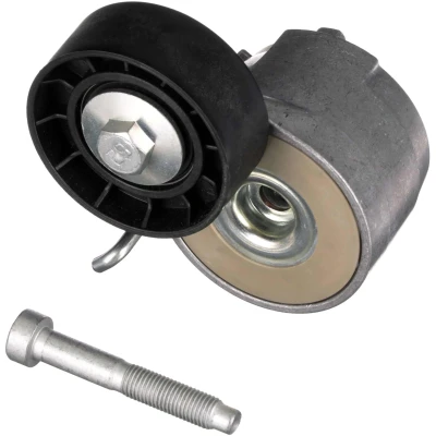 Imagen de GATES FleetRunner Micro V Kit T39014 Polea Tensora FIAT: Doblo I Cargo, Fiorino III Furgón / Familiar, Panda II Hatchback, LANCIA: Ypsilon