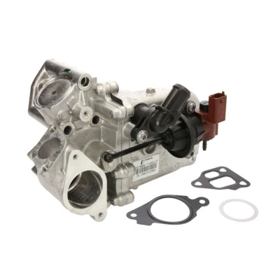Imagen de PIERBURG 7.03622.06.0 Enfriador EGR con junta FIAT: Fiorino III Furgón / Familiar, Punto Evo Hatchback, Grande Hatchback