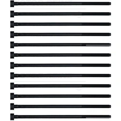 Imagen de REINZ 14 32220 02 Juego de Tornillos Culata Perfil estrido intzerior (Ribe CV) FIAT: Coupe, Stilo Hatchback