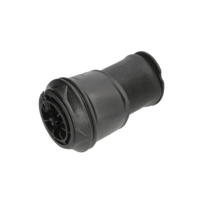 Imagen de Muelle neumático, suspensión KAVO PARTS SAS 10008