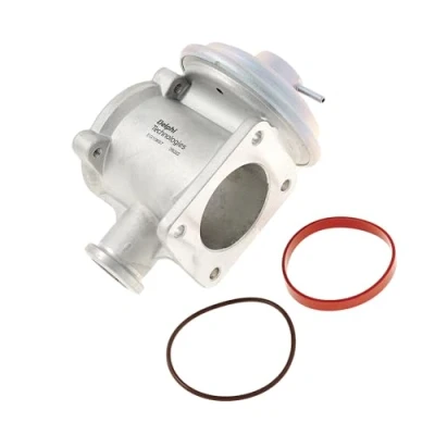 Imagen de DELPHI EG10657 12B1 Válvula EGR sin juntas, radiator