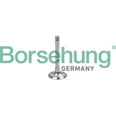 Imagen de Borsehung B19002 Válvula de Escape VOLKSWAGEN: Golf 5, Transporter 4, SEAT: Leon I Hatchback, Ibiza 3, 2, AUDI: A4 B5 Berlina