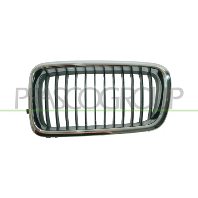 Imagen de Rejilla radiador PRASCO BM0982004