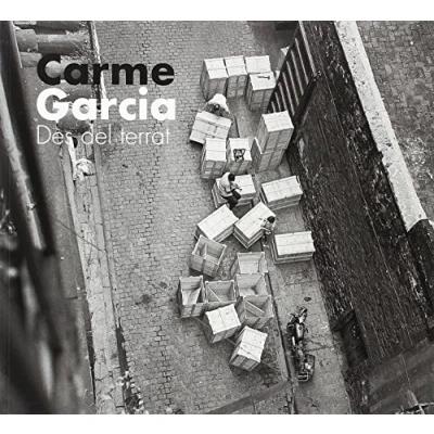Imagen de CARME GARCIA: Des del terrat: 2 (Arxiu Fotogràfic de Barcelona)