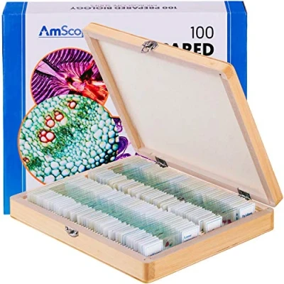 Imagen de AmScope PS100E 100 Diapositivas de microscopio Preparado para la biología en casa Set E