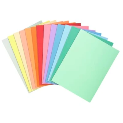Imagen de Exacompta 330000E Lote de 100 Subcarpetas Super 250, Multicolor, 24 x 32 cm