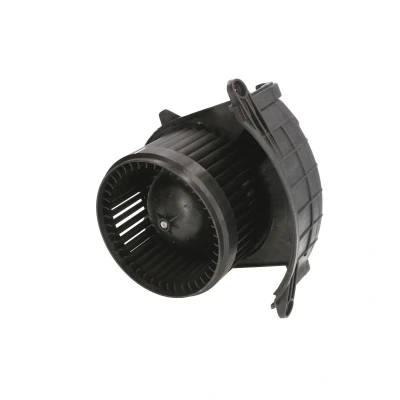 Imagen de THERMOTEC DDR019TT Ventilador de Calefacción RENAULT: MASTER 3 Kasten, Kangoo II / Grand Kangoo, Bus, MERCEDES BENZ: Citan Furgón