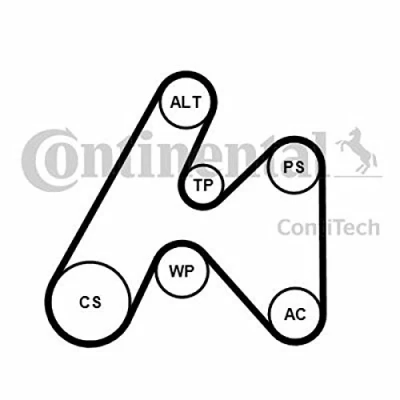 Imagen de CONTITECH 6PK1660K3 Juego de correas trapeciales poli V RENAULT: MEGANE 1, 1 Classic, Coach