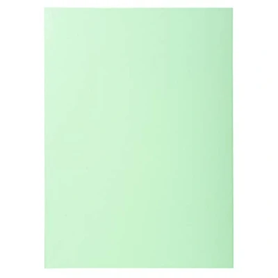 Imagen de Exacompta 850104E Lote de 100 Subcarpetas Super 60, Color Verde Claro