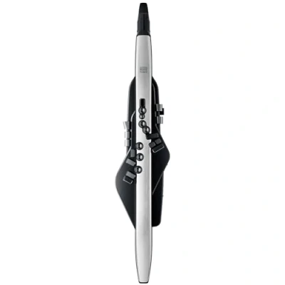 Imagen de Roland AE 30 Aerophone Pro Instrumento de viento digital profesional con sistema síntesis ZEN Core y sonidos natural, digitación saxofón tradicional, Bluetooth