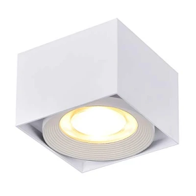 Imagen de Dr.lazy 10W LED Focos para el techo,Lámpara de techo, salón,Luz techo led,Plafón con Focos, IP20, 10X10x7CM (Blanco 3000K)