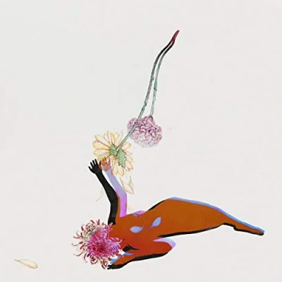 Imagen de The Far Field [Vinilo]