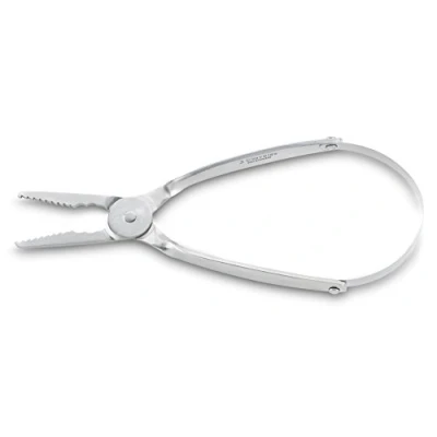 Imagen de 3 Claveles Pinza PEQUEÑOS MARISCOS INOX con Muelle 17.5 CM D 3C Cortamariscos, Plata