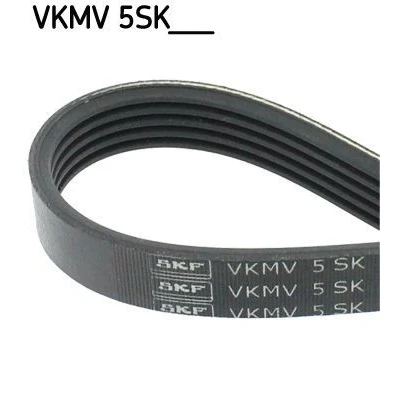 Imagen de SKF VKMV 5SK705 Correa trapecial poli V 705 5 FORD: Focus 2, C Max, 2 Kombi, VOLVO: S40 II, V50, C30