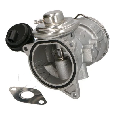 Imagen de Válvula EGR ASHIKA 150 00 0924