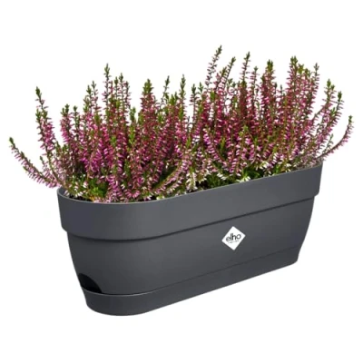 Imagen de Elho Vibia Campana Trough 50 Jardinera por Balcón Ø 49.0 x H 17.0 cm Negro/Anthracite