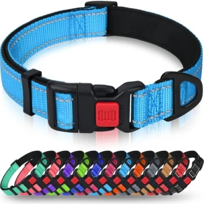 Imagen de Taglory Collar Perro, Nylon Reflectante Neopreno Forrado Ajustable para Perros Pequeños, Cielo Azul