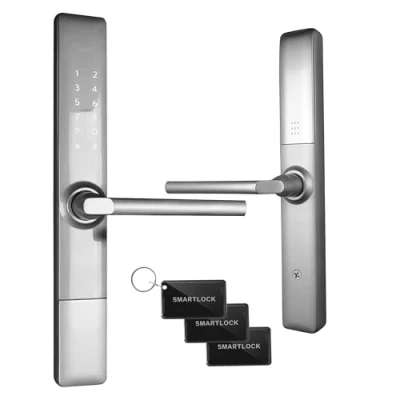 Imagen de EURA ELH 71H4 Cerradura de puerta inteligente delgada con manija combinada 13,56 MHz Lector proximidad IP65 Espaciado universal entre pernos más plata