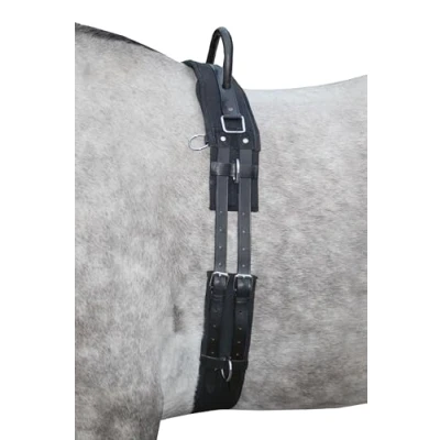 Imagen de HKM vaulting girth