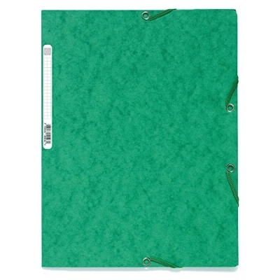 Imagen de Exacompta 55503E Carpeta con goma, A4, color verde