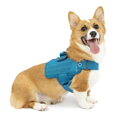 Imagen de Kurgo RSG Townie Arnés de Seguridad para Perros, Adiestramiento Perros Guía, Reflectante, Compatible con MOLLE Azul, S