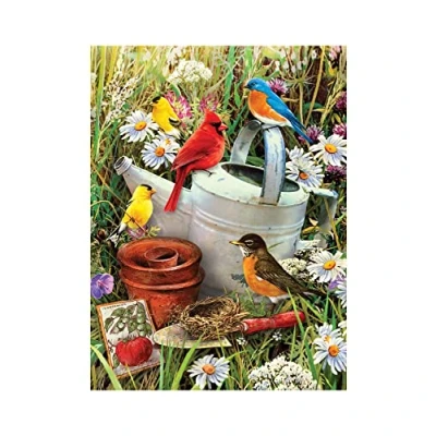 Imagen de Pracht Hobby Royal &amp; Langnickel Pintar por números Junior Pájaros, Incl. Colores y Pinceles, para Adultos niños a Partir de 8 años