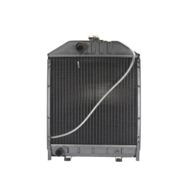 Imagen de THERMOTEC D7AG123TT Radiador, refrigeración del motor 450 445 59