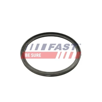 Imagen de FAST FT49922 Junta anular, conducto aire admisión MERCEDES BENZ: Clase A, B, DACIA: Lodgy