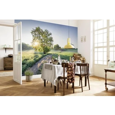 Imagen de Komar Papel pintado fotográfico Meadow Trail Tamaño 368 x 254 cm fotográfico, diseño de sol, mañana, paisaje, comedor, sala estar, dormitorio