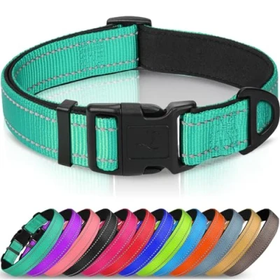Imagen de Joytale Collar Perro Reflectante,Nylon Acolchado con Neopreno,Ajustable para Perros Pequeño,22 30cm,Verde Azulado