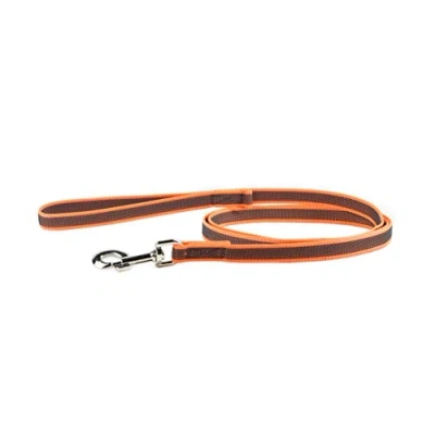 Imagen de Correa IDC Color &amp; Gray con asa y anillo en D, 20 mm x 2 m, Naranja Gris
