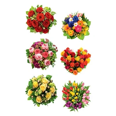 Imagen de Avery Zweckform Pegatinas, Flor Ramos, 6 diseños, Paquete de 12, multicolor