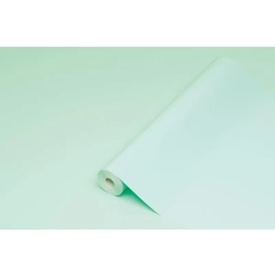 Imagen de d c fix vinilo adhesivo muebles menta unicolor brillante autoadhesivo impermeable decorativo para cocina, armario, puerta, mesa papel pintado forrar rollo láminas 45 cm x 2 m